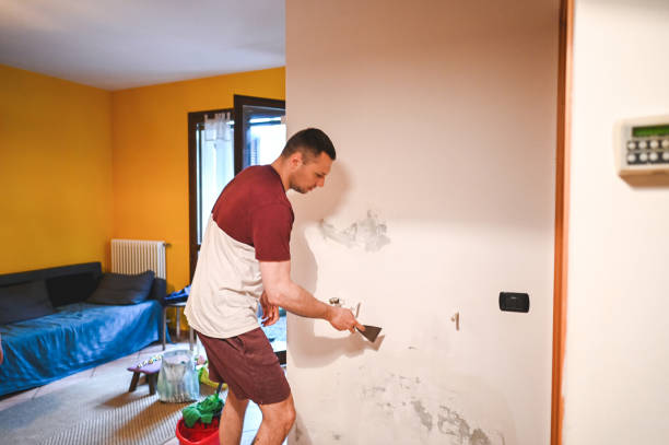 Best Mold Removal Near Me  in Ashwaubenon, WI